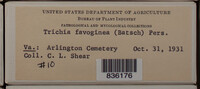 Image Associated With the Occurence